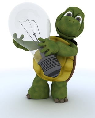 tortoise holding a light bulb